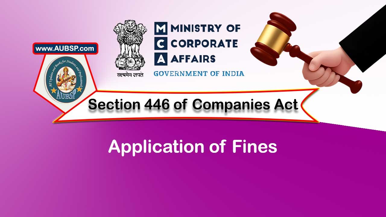 section 446 companies act