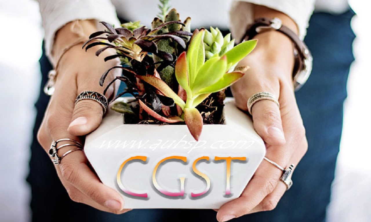 All Sections of Central Goods and Services Tax (CGST) Act, 2017-2024